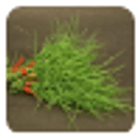offer Durva Grass