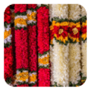 offer Phool Mala