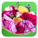 offer Flower Basket 