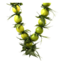 offer Nimbu Mala