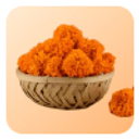 offer Yellow Flower Basket