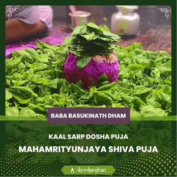 Kaal Sarp Dosha Puja and  Mahamrityunjaya Shiva Puja - Slide 1