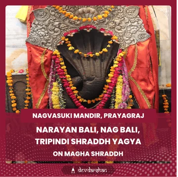 Magha Shraddh Narayan Bali, Nag Bali, Tripindi Shraddh  - Slide 1