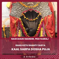 Kaal Sarp Dosha Puja and Rahu Ketu Shanti Yagya