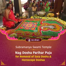 Nag Panchami Special : Nag Dosha Parihar Puja and Rudrabhishek for Removal of Sarp Dosha & Kundali Doshas and For Good Health and Happy Married Life