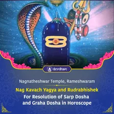 Panchami Special, Nag Kavach Yagya and Rudrabhishek 