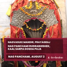 Nag Panchami Kaal Sarp Dosha Puja and  Rudrabhishek