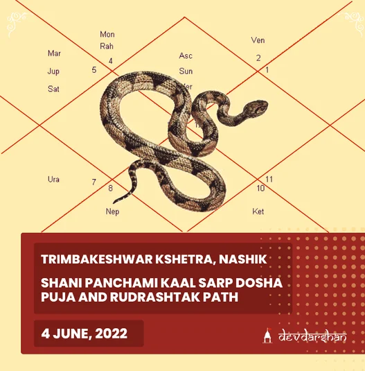 Kaal Sarp Dosh Puja and Rudrashtak Path