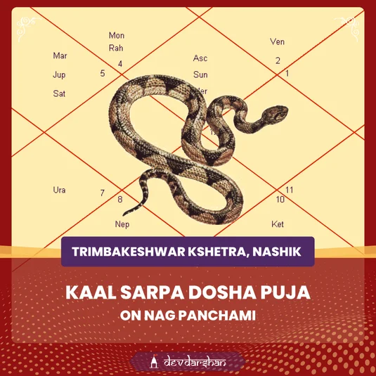 Nag Panchami Kaal Sarp Dosh Puja and Rudrashtak Path