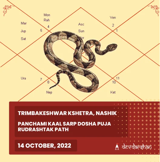 Kaal Sarp Dosh Puja and Rudrashtak Path 