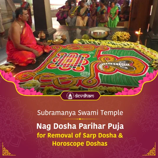 Shashthi Special : Nag Yakshini Havan & Sarp Sukta Homa for Removal of Sarp Dosh and Kundali Dosh