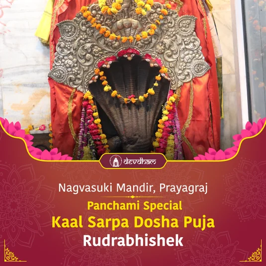 Panchami Special Kaal Sarp Dosh Puja and Rahu Ketu Shanti Yagya