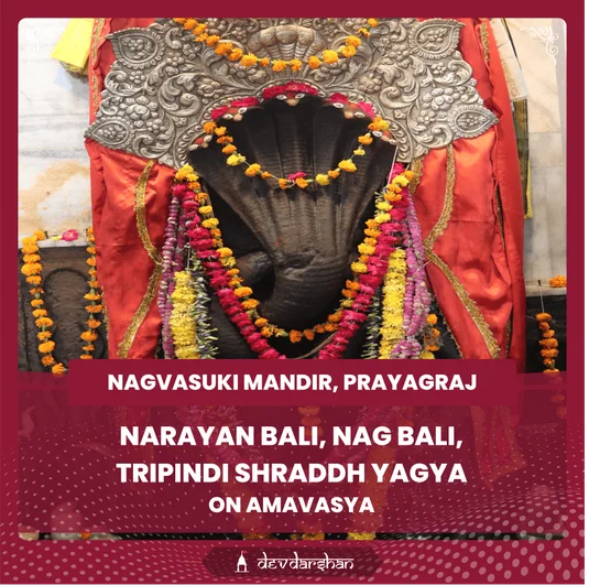 Narayan Bali, Nag Bali, Tripindi Shraddh Yagya 