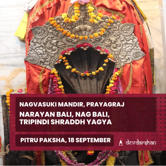 Narayan Bali, Nag Bali, Tripindi Shraddh Yagya 