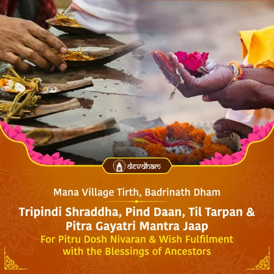 Saraswati Pushkar Mela (Kumbh) Special : Tripindi Shraddha, Pind Daan, Til Tarpan & Pitra Gayatri Mantra Jaap for Pitru Dosh Nivaran & Wish Fulfilment with the Blessings of Ancestors