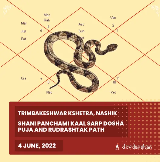 Kaal Sarp Dosh Puja and Rudrashtak Path