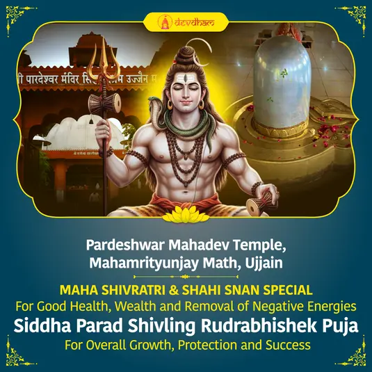 Monday Special :  Parad Shivalinga Rudrabhishek for Good Health, Wealth and Removal of Negative Energies