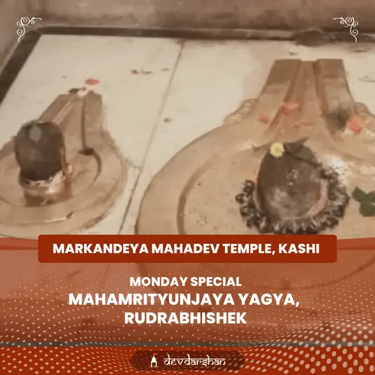Mahamrityunjaya Yagya, Rudrabhishek for Good Health and Freedom from Accidents