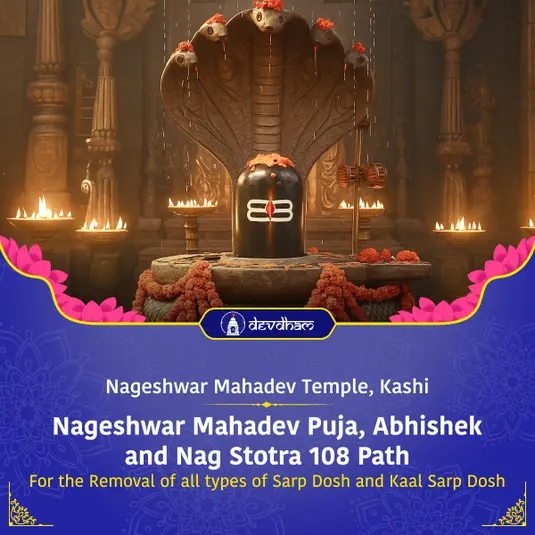 Nag Pancham Special: Nageshwar Mahadev Puja, Abhishek and Nag Stotra 108 Path For the Removal of all types of Sarp Dosh and Kaal Sarp Dosh