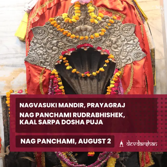 Nag Panchami Kaal Sarp Dosha Puja and  Rudrabhishek