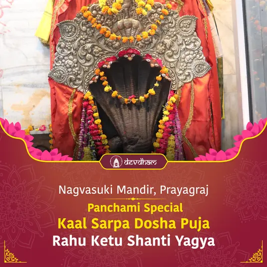 Maha Shivratri Special :  Kaal Sarp Dosha Puja and Rahu Ketu Shanti Yagya