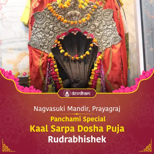 Panchami Special Kaal Sarp Dosh Puja and Rahu Ketu Shanti Yagya