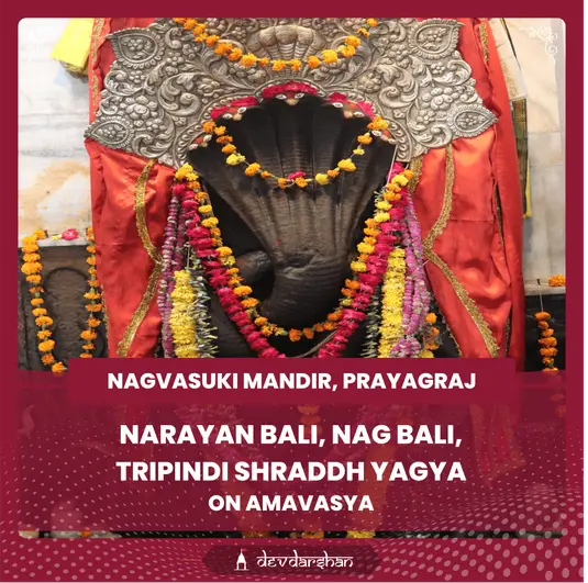 Narayan Bali, Nag Bali, Tripindi Shraddh Yagya 