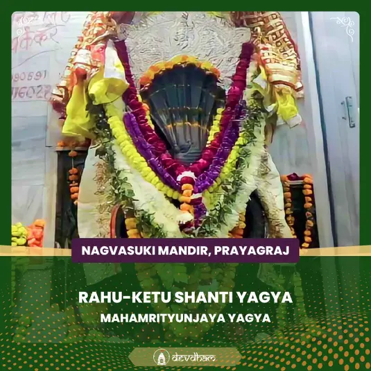 Rahu-Ketu Shanti Yagya and Mahamrityunjaya Yagya