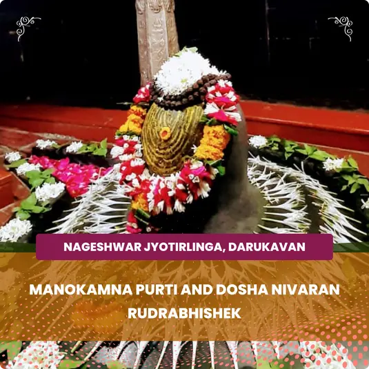 Maha Shivratri Special Kaal Sarpa Dosha Puja and Shiv Rudrabhishek Puja