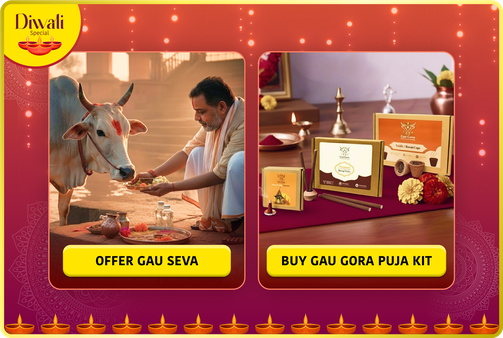 Offering At Gaushala on the Auspicious Diwali Festival : Paricipate in Gau Seva and Order Special Gau Gora Products made by Cow Dung