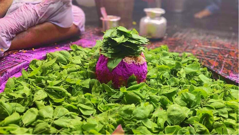 Kaal Sarp Dosha Puja and  Mahamrityunjaya Shiva Puja