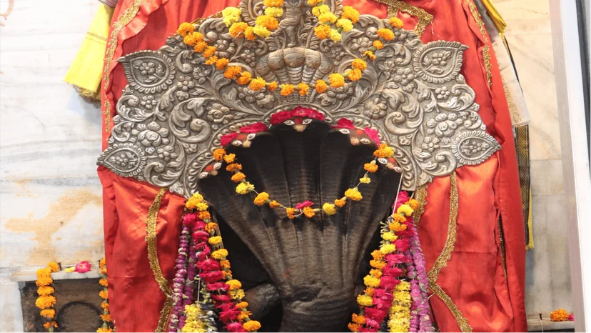 Kaal Sarp Dosha Puja and Rahu Ketu Shanti Yagya