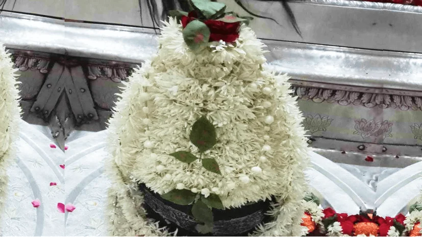 Mahamrityunjaya Yagya, Mantra Jaap, and Rudrabhishek Shiva Maha Puja