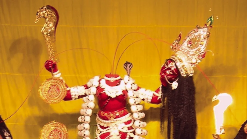 Wish Fulfillment Chinnamastika Maha Yagya and Chandi Yagya
