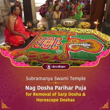 Nag Panchami Special : Nag Dosha Parihar Puja and Rudrabhishek for Removal of Sarp Dosha & Kundali Doshas and For Good Health and Happy Married Life