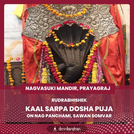 Nag Panchami Kaal Sarp Dosha Puja and Rudrabhishek