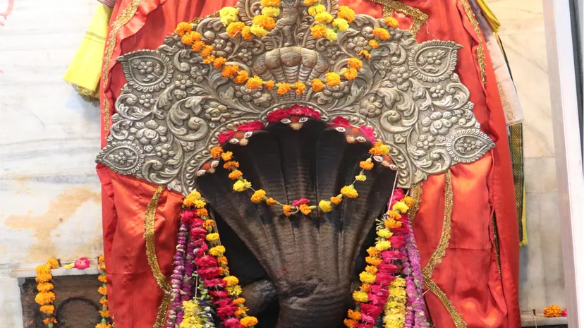 Panchami and Maha Kumbh Special  Kaal Sarp Dosha Puja and Rahu Ketu Shanti Yagya