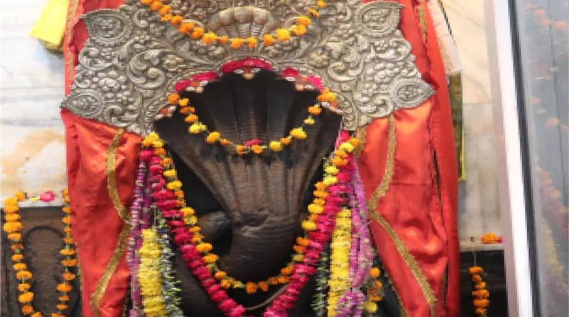 Magha Shraddh Narayan Bali, Nag Bali, Tripindi Shraddh 