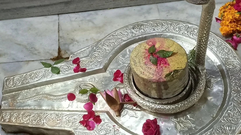 Dhanteras Special :  Rin Mukti Shiv Havan and Rudrabhishek Puja 