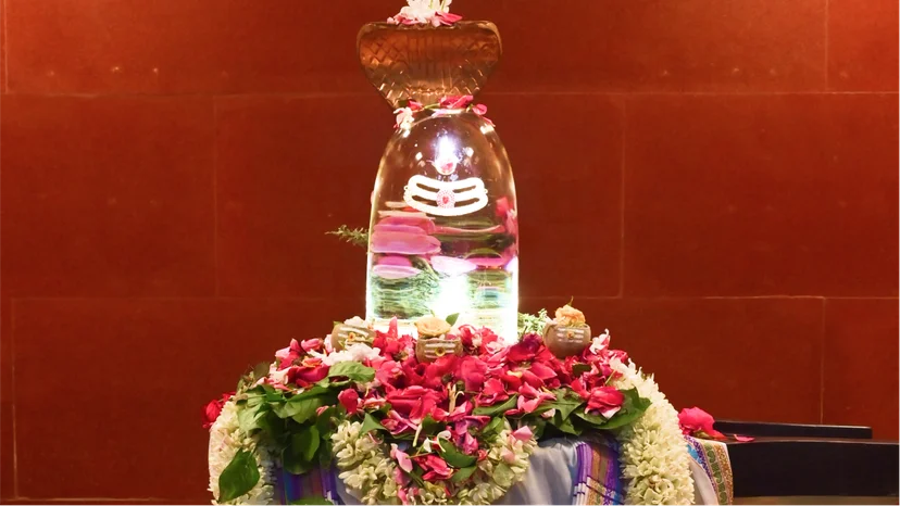 Shivratri Sphatik Shivalinga Rudrabhishek and Shiva Homa